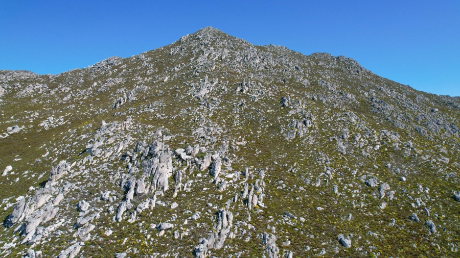 0 Bedroom Property for Sale in Pringle Bay Western Cape